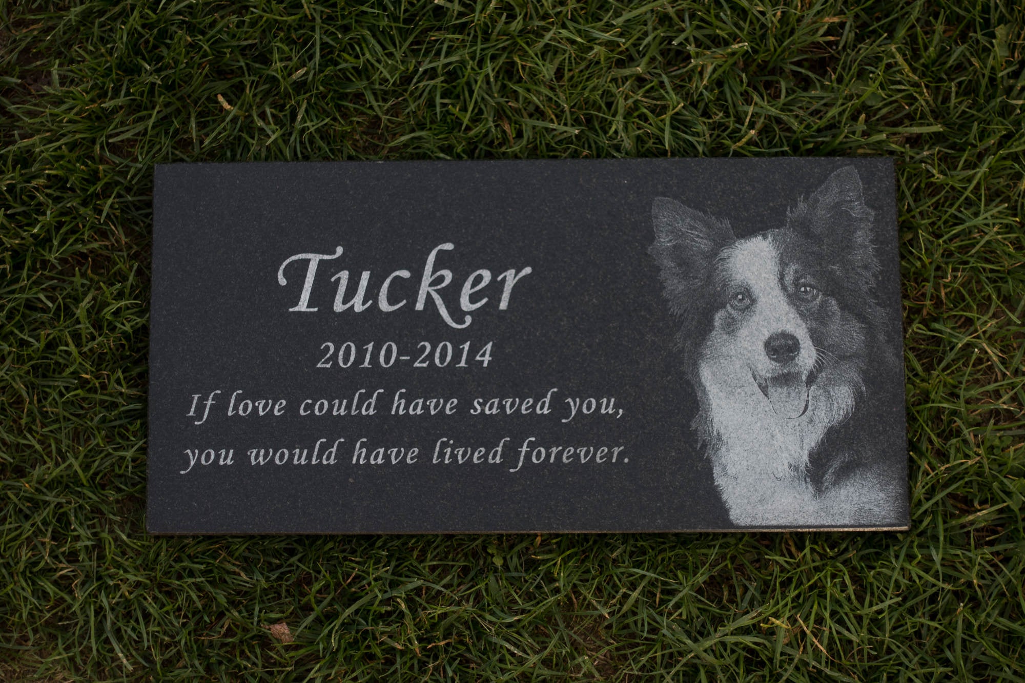 Large Photo Memorial