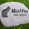 Medium River Stone